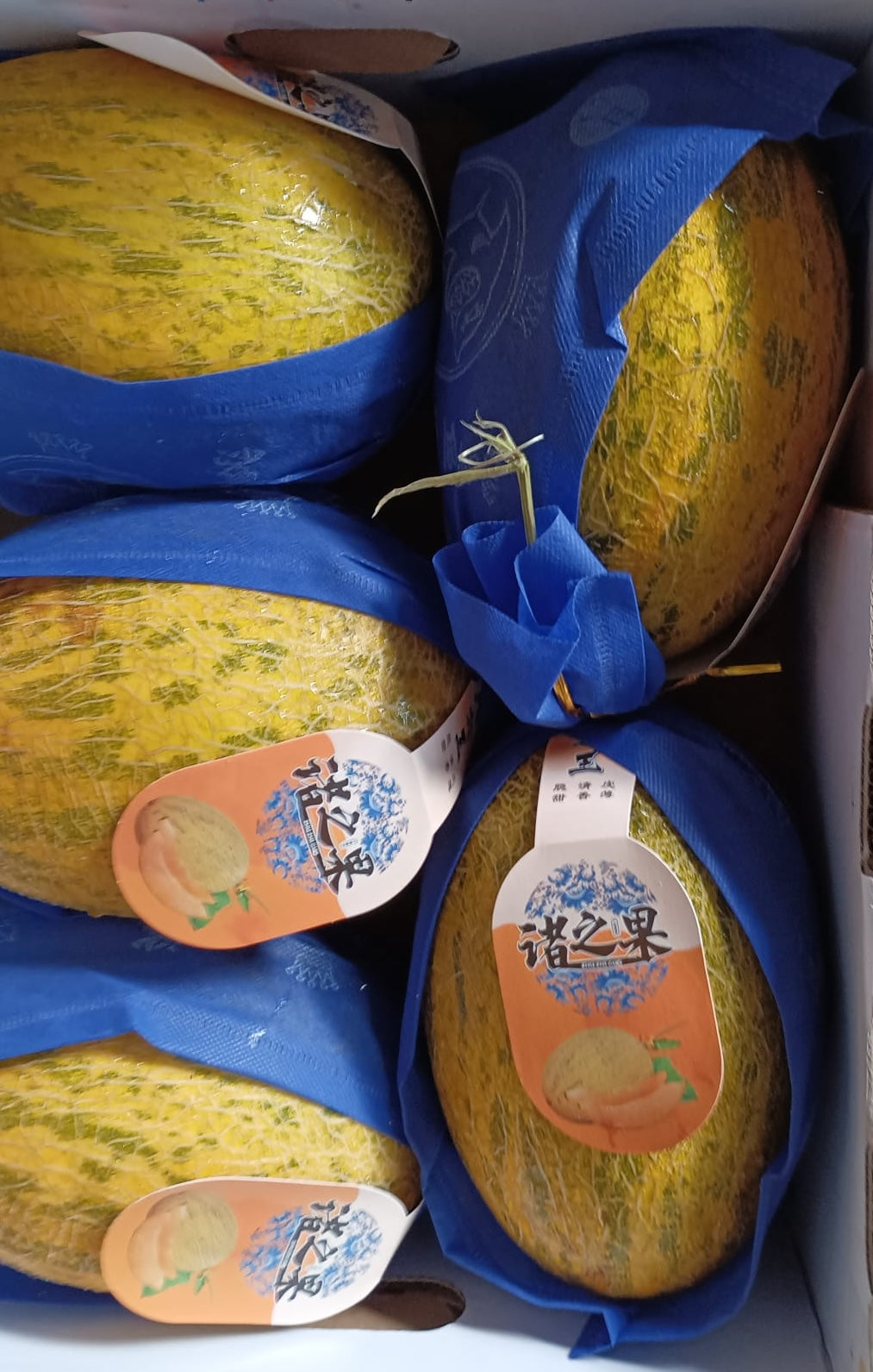 Hami Melon (1pc 1.5kg) UglyFoodCo