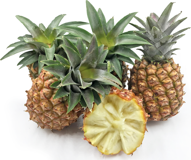 Mini Pineapple (Malaysia)(1pc~690g)