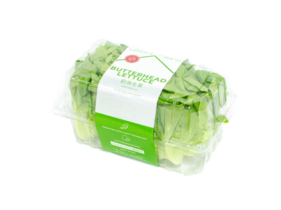 Green Harvest Butterhead Lettuce (180g)(Pesticide Free)