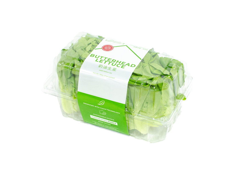 Green Harvest Butterhead Lettuce (180g)(Pesticide Free)