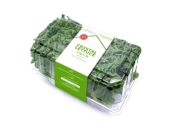 Green Harvest Crystal Lettuce (180g)(Pesticide Free)