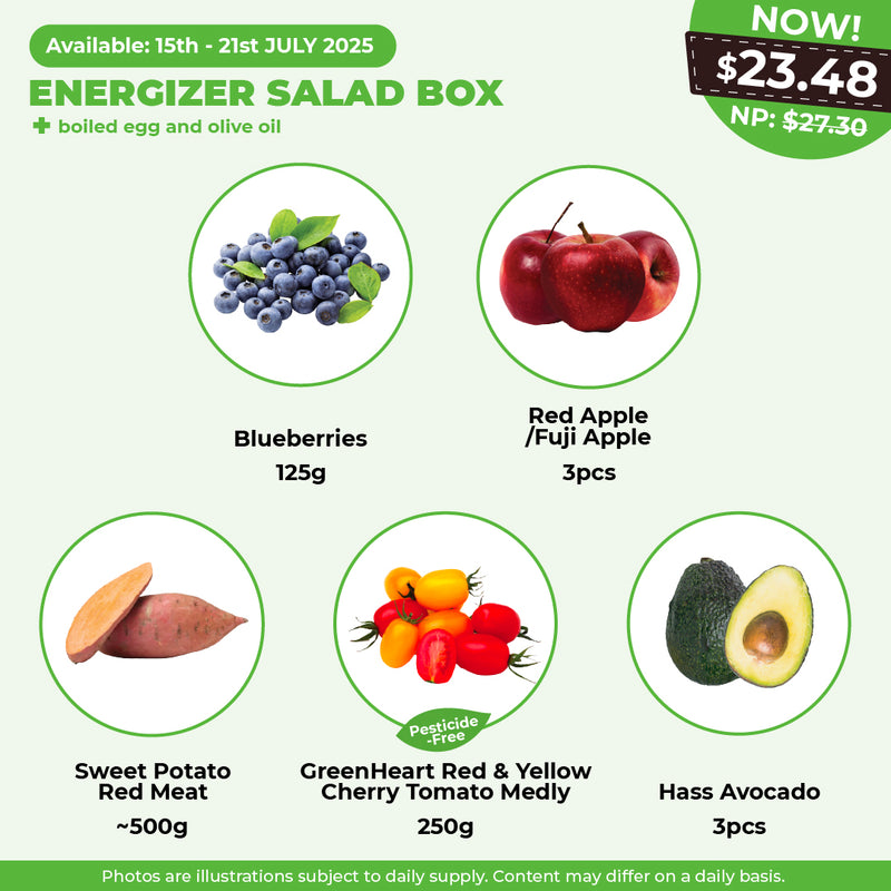 Energizer Salad Box