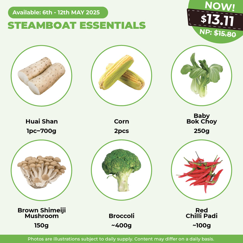 Steam Boat Essentials