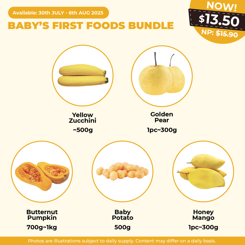 Baby’s First Foods Bundle
