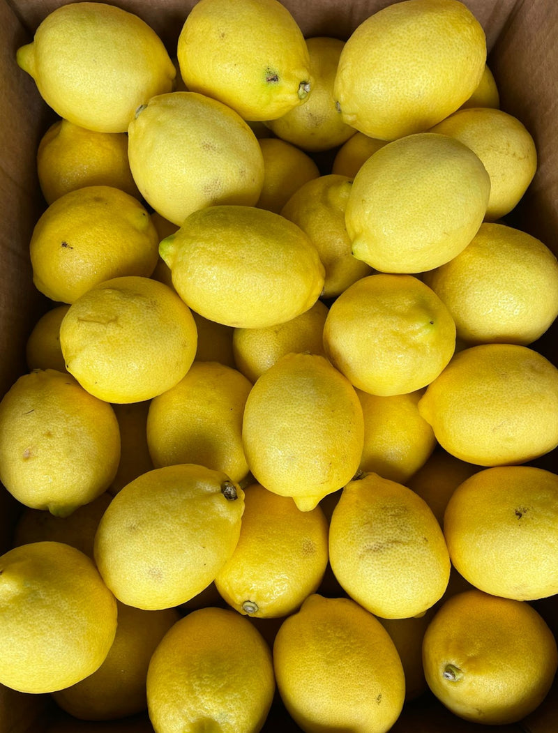 Lemons (Scarring)(South Africa)(1kg)