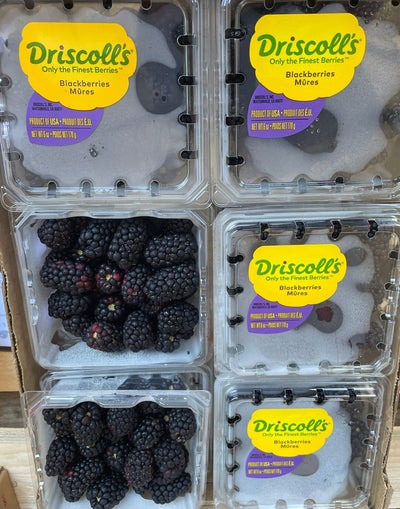 Driscolls Blackberries (USA)(170g)
