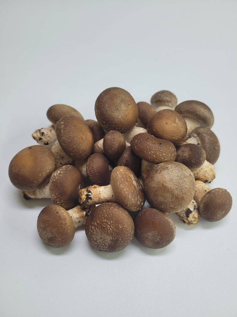 Meod Local Farm Shiitake Mushroom (150g)(Pesticide-Free)