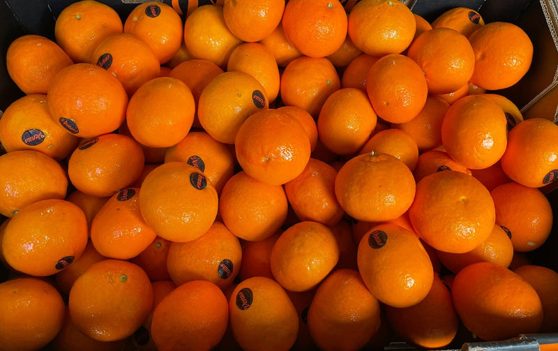 Tangerines Nova Small (South Africa) (500g)