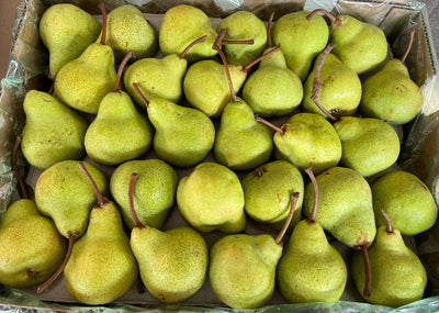 Packham Pears (South Africa)(5pcs~100g/pc)
