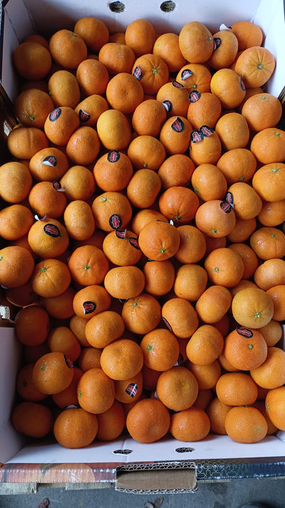 Baby Mandarin (Morocco) (~500g) (Min Spend $55)