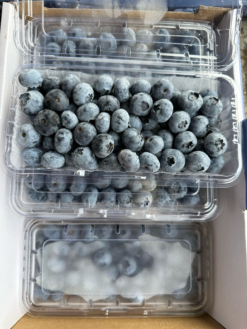 Blueberries (China) (250g)