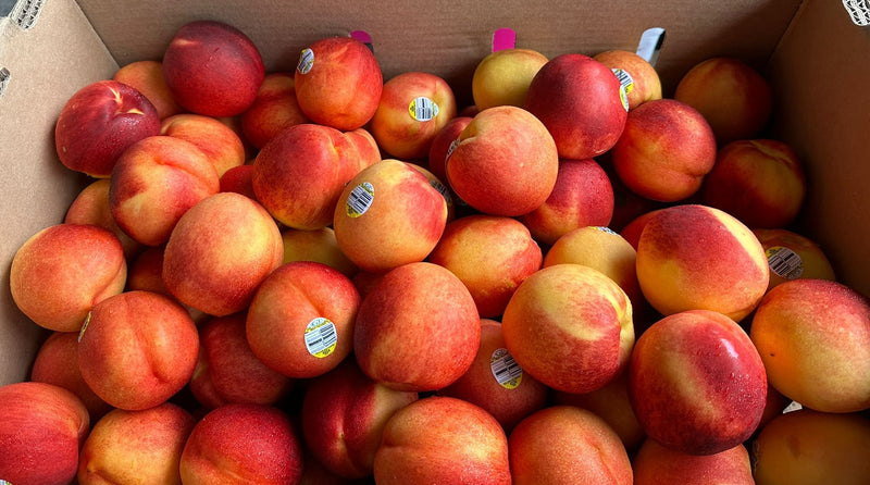 Yellow Nectarine (USA)(~1kg)