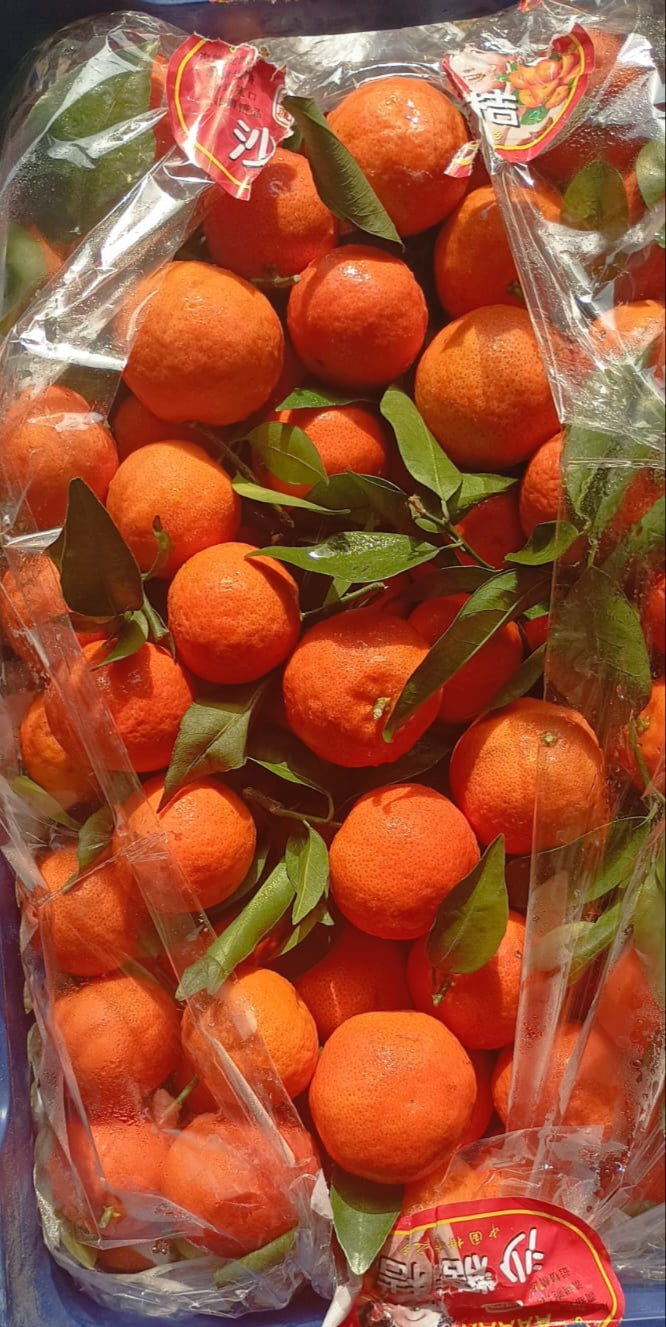 Emperor Tangerine (China)(~1kg)