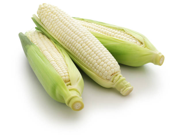 White Corn (Malaysia)(1pc)
