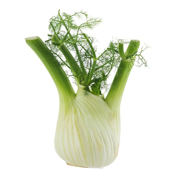 Fennel (Australia)(~500g)