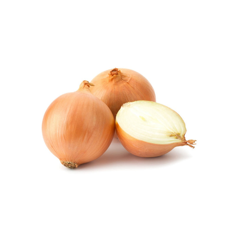 Large White Onion (Australia) (~500g)